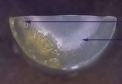 純化水設備管道內生物膜